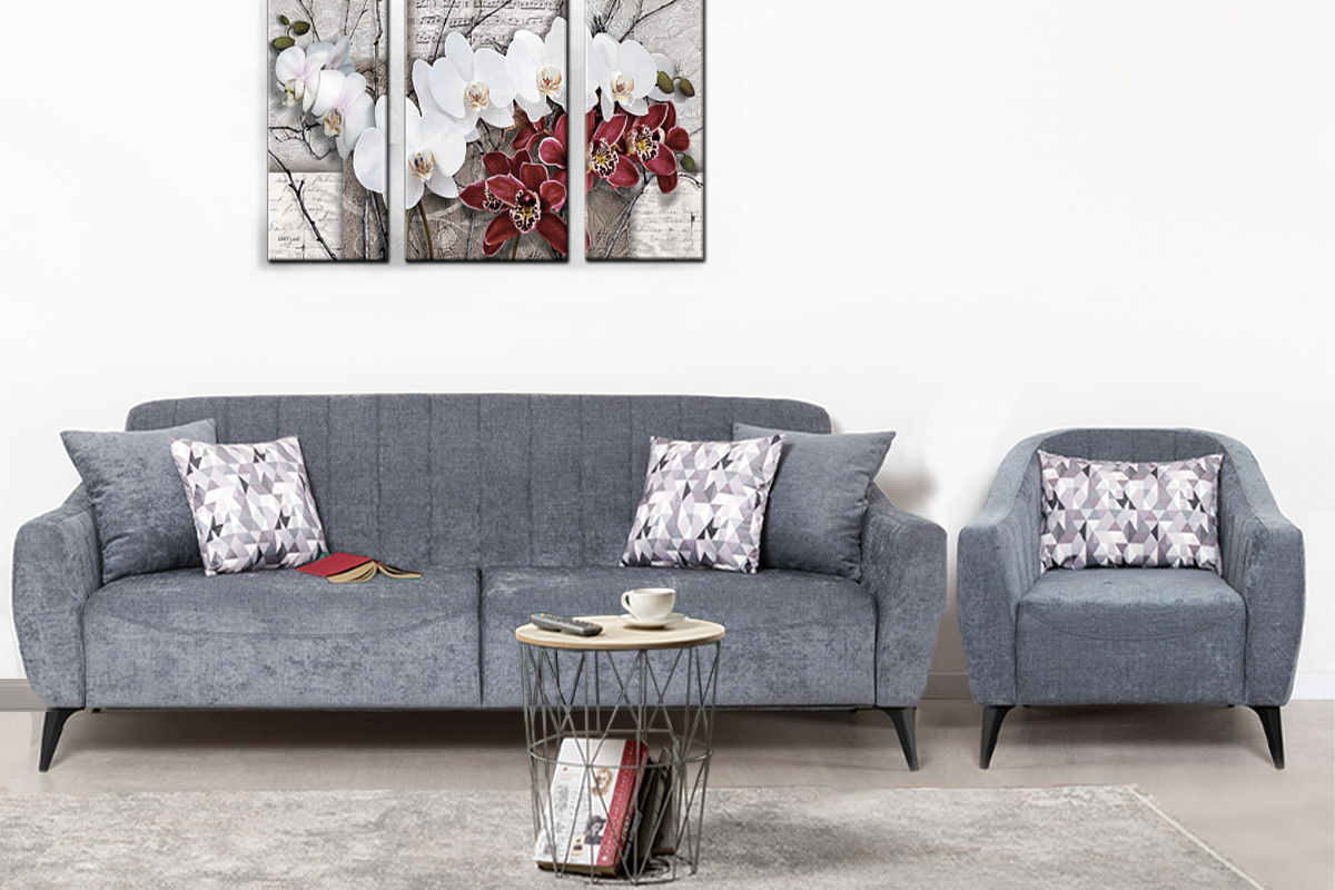 naomi-komplekt-dlia-gostinoi-00042655-grafitovyi-seryi-0iaknizka-divan-nik